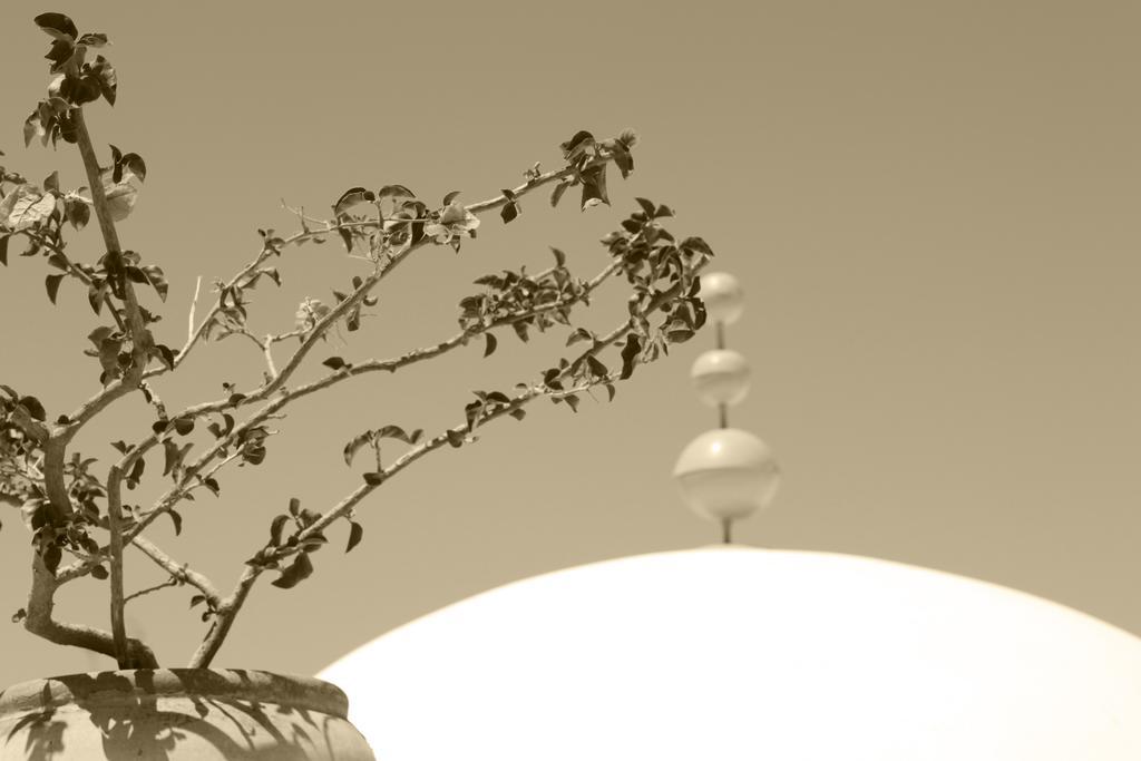 مبيت وإفطار نابل Dar R'Bat المظهر الخارجي الصورة